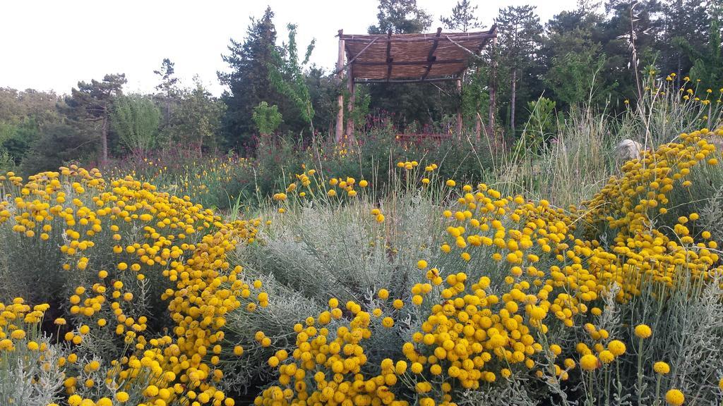 Agricampeggio Madonna Di Pogi Campingplatz Bucine