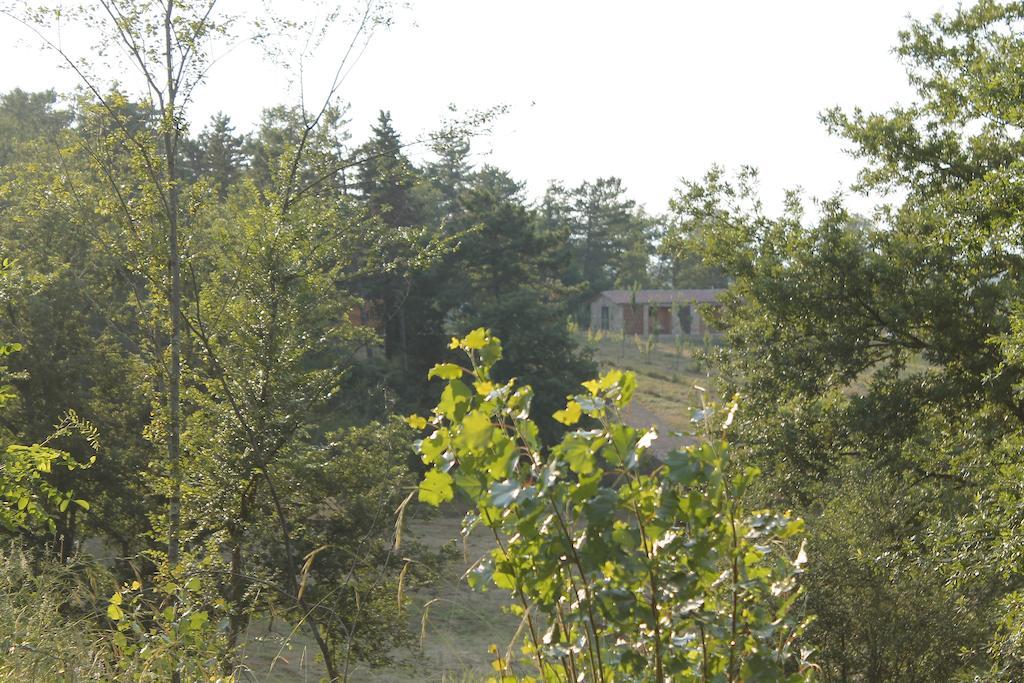 Campingplatz Agricampeggio Madonna Di Pogi Bucine